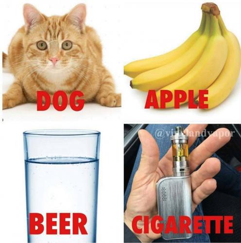 13220589_1155344444496247_4930386584215086562_o