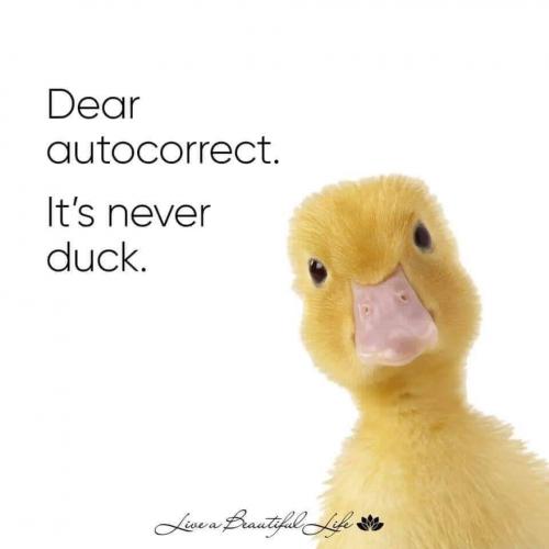 18:53:52 GMT-0400 (EDT)