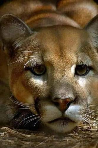 04:34:52 GMT-0500 (CDT)