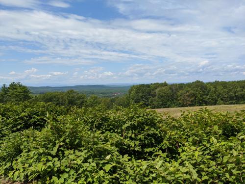 14:24:07 GMT-0400 (EDT)