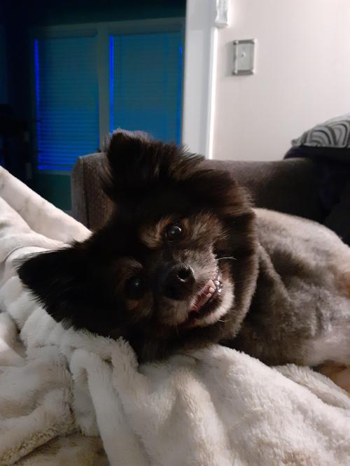 17:01:52 GMT-0500 (CDT)