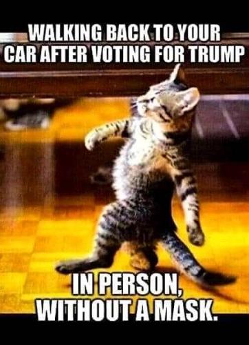 121015583_1231888200517203_1134374272053379664_n