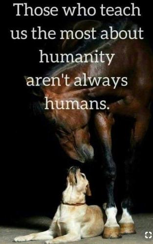 17:33:14 GMT-0500 (CDT)