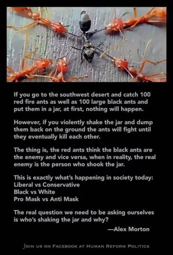 120595107_10158085242999398_3592557142260335981_n