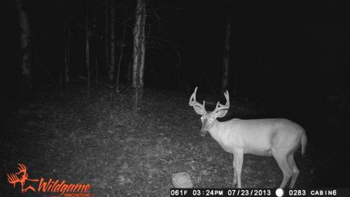 1185966_10201794161794341_1991063511_n_10201794161794341