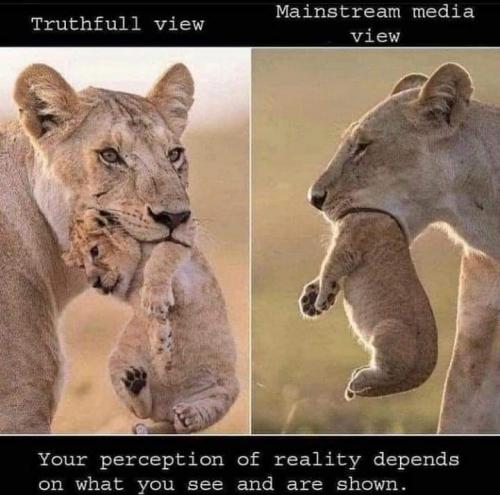 18:52:05 GMT-0400 (EDT)