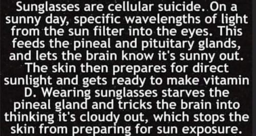 FB_IMG_1594304018665