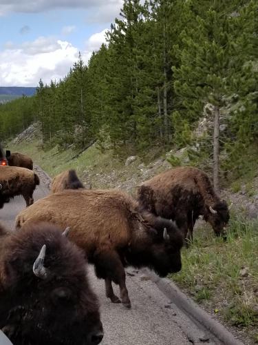 20:55:07 GMT-0600 (MDT)