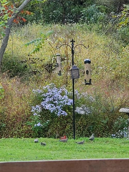 18:38:43 GMT-0400 (EDT)