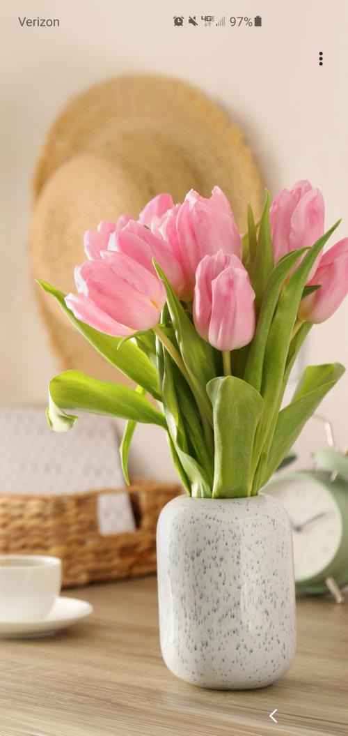 Screenshot_20200825-071001_Outlook