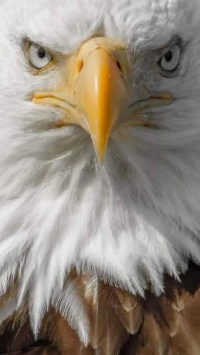 118678159_2763163423952993_8616187739425788429_o