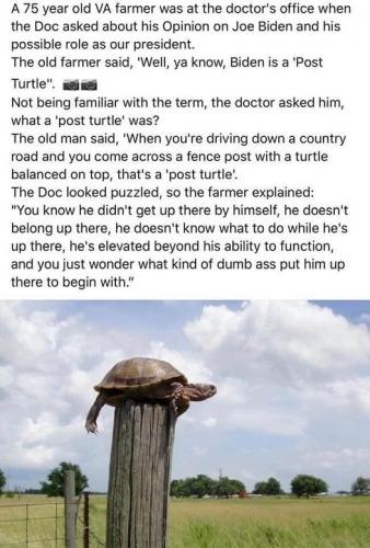 Post Turtle