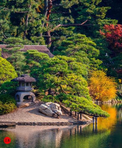 121666288_4503581179713566_8489688181299148747_o