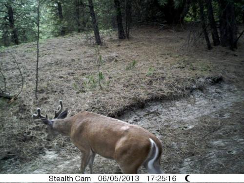 1044817_10201513526138625_1613516851_n_10201513526138625