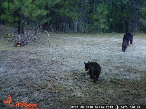 972084_10201668872982199_1244837011_n_10201668872982199