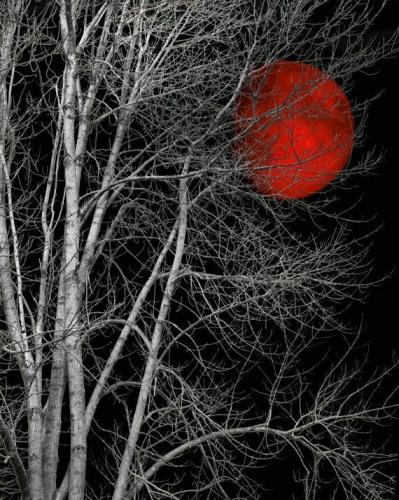 22:38:32 GMT-0500 (CDT)