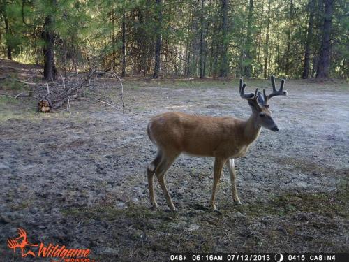 1005632_10201668864221980_792427006_n_10201668864221980