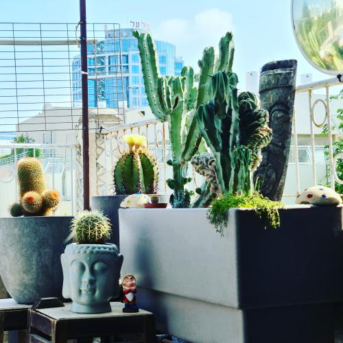 IMG_20200707_164327_417