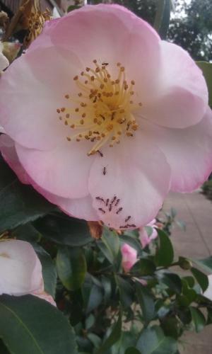 17:21:25 GMT-0700 (PDT)