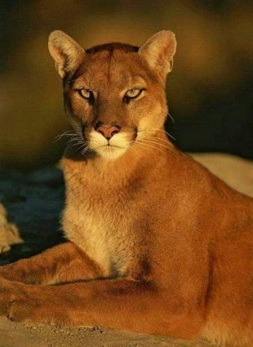 18:04:05 GMT-0500 (CDT)