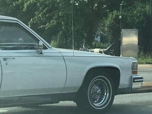 109690420_2651827188468193_9100922208463425606_n_2651827175134861