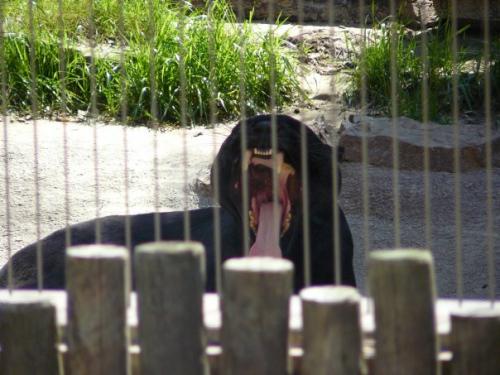 4492_1105277324445_5537239_n