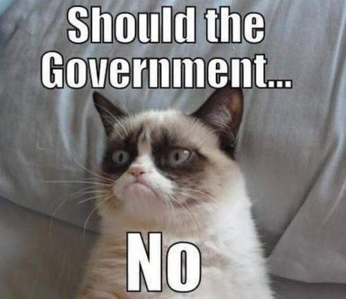 13173955_1156501197713905_818908552758980539_n