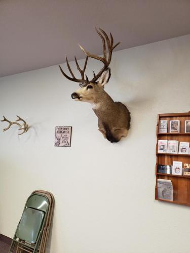 16:29:22 GMT-0600 (MDT)