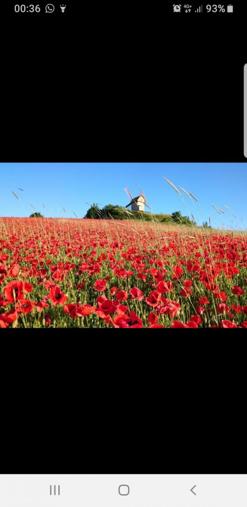 20:02:34 GMT+0400 (+04)