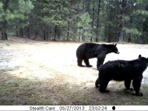 944490_10201513525938620_211379746_n_10201513525938620