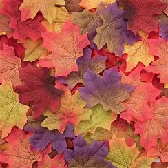 819D8492-7E62-401A-9E7C-316E8F8850BA