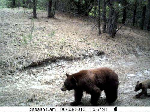 1013736_10201513525378606_1445638689_n_10201513525378606