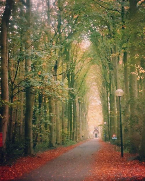 12:55:03 GMT-0400 (EDT)