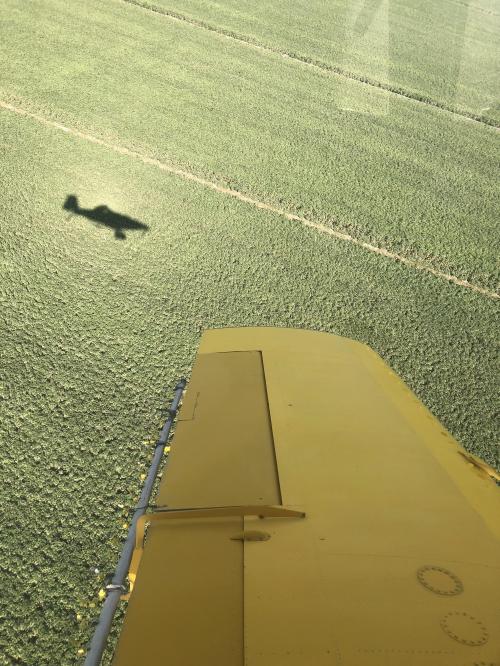 DBFF9CBE-52BF-4094-A7B2-7F4F7257CBC2