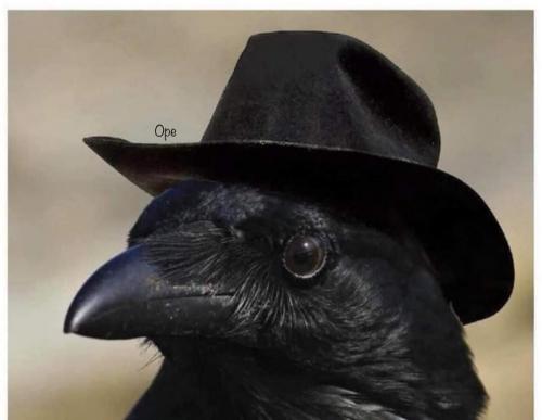 11:46:36 GMT-0400 (EDT)