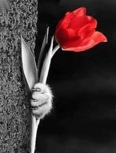 08:10:55 GMT-0500 (CDT)