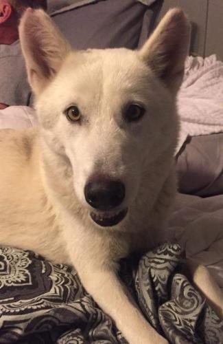 FB_IMG_1588537027458