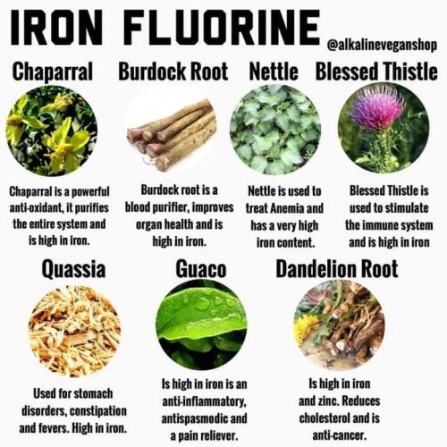 FB_IMG_1555680238450