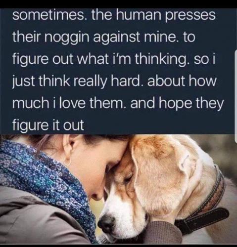 10:35:19 GMT-0400 (EDT)