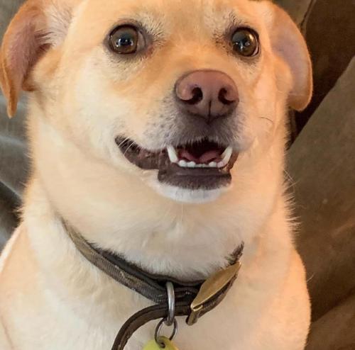 WhatsApp Image 2020-10-05 at 11.48.06 PM (1)