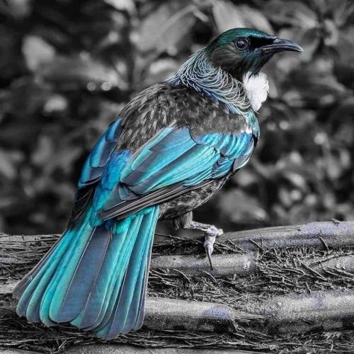 12:46:11 GMT+1300 (NZDT)