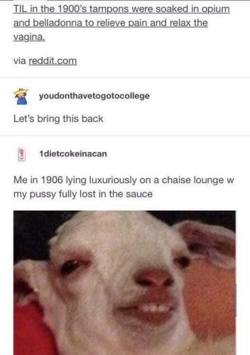 47686498_10205186760704537_6247455275528224768_n_10205186760664536