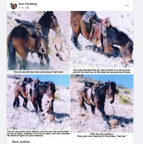 Screen Shot 2020-10-18 at 12.08.24 PM