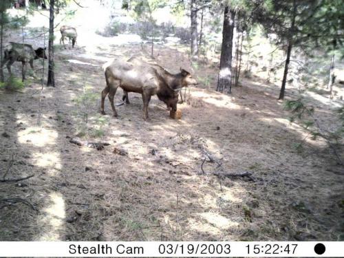 539838_10201010737449222_156723783_n_10201010737449222