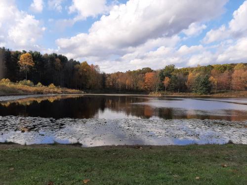 21:45:06 GMT-0400 (EDT)