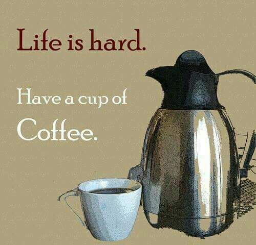 12573002_10201147561327077_5056900565798815316_n_10201147561327077