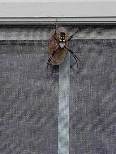 15:06:35 GMT-0500 (CDT)