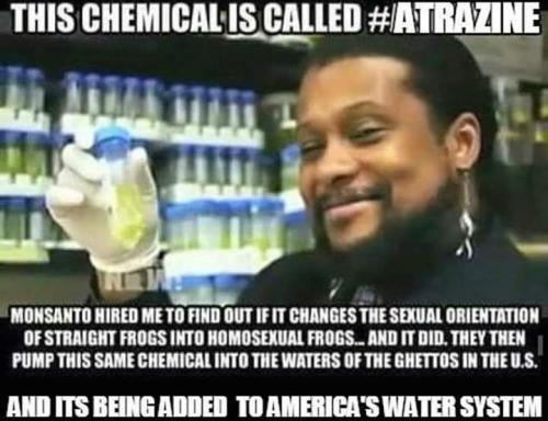 FB_IMG_1548766572897