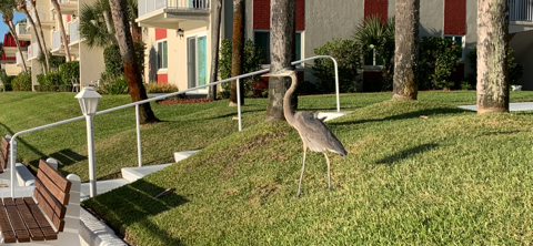 18:09:55 GMT-0400 (EDT)