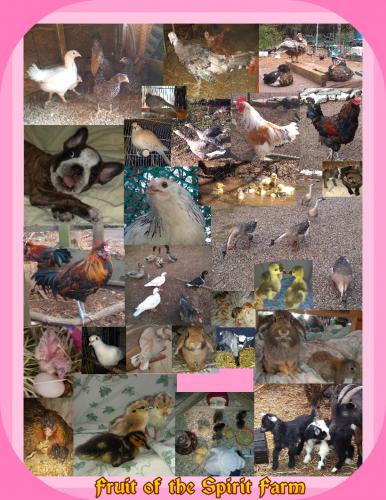 07:35:39 GMT-0500 (CDT)